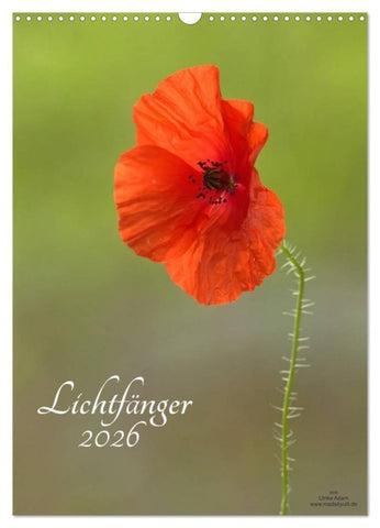 Lichtfänger (Wandkalender 2026 DIN A3 hoch), CALVENDO Monatskalender