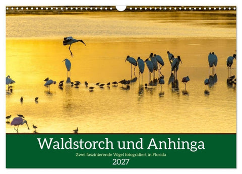 Waldstorch und Anhinga (Wandkalender 2027 DIN A3 quer), CALVENDO Monatskalender