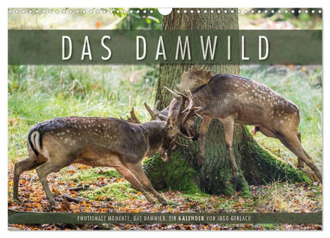 Emotionale Momente: Das Damwild. (Wandkalender 2026 DIN A3 quer), CALVENDO Monatskalender
