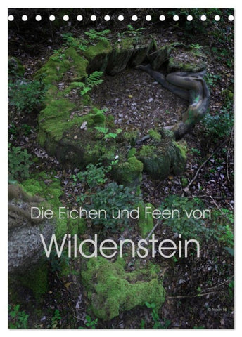 Die Eichen und Feen von Wildenstein (Tischkalender 2027 DIN A5 hoch), CALVENDO Monatskalender