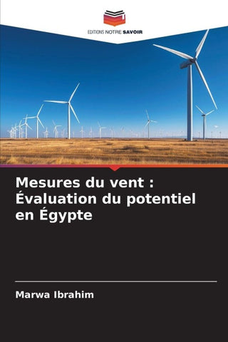 Mesures du vent : Évaluation du potentiel en Égypte