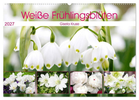Weiße Frühlingsblüten (Wandkalender 2027 DIN A2 quer), CALVENDO Monatskalender