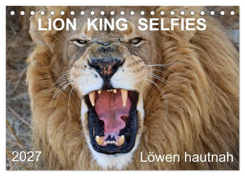 LION KING SELFIES Löwen hautnah (Tischkalender 2027 DIN A5 quer), CALVENDO Monatskalender