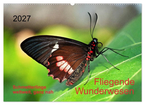 Fliegende Wunderwesen. Schmetterlinge weltweit, ganz nah (Wandkalender 2027 DIN A2 quer), CALVENDO Monatskalender