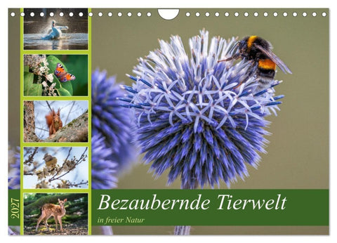 Bezaubernde Tierwelt in freier Natur (Wandkalender 2027 DIN A4 quer), CALVENDO Monatskalender