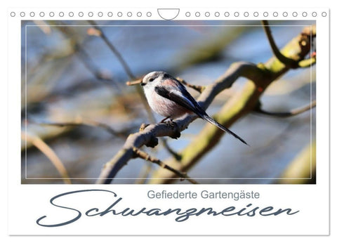 Gefiederte Gartengäste, Schwanzmeisen (Wandkalender 2027 DIN A4 quer), CALVENDO Monatskalender