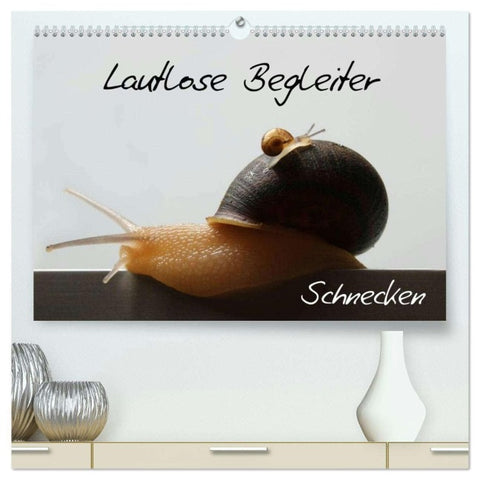 Lautlose Begleiter - Schnecken (hochwertiger Premium Wandkalender 2026 DIN A2 quer), Kunstdruck in Hochglanz