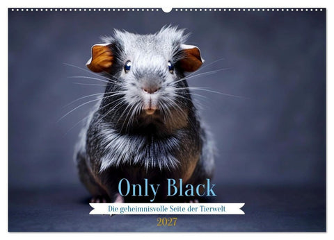 Only Black (Wandkalender 2027 DIN A2 quer), CALVENDO Monatskalender