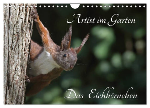 Artist im Garten. Das Eichhörnchen (Wandkalender 2027 DIN A4 quer), CALVENDO Monatskalender