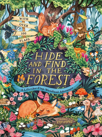 Hide and Find in the Forest: A Lift-the-Flap Woodland Adventure
