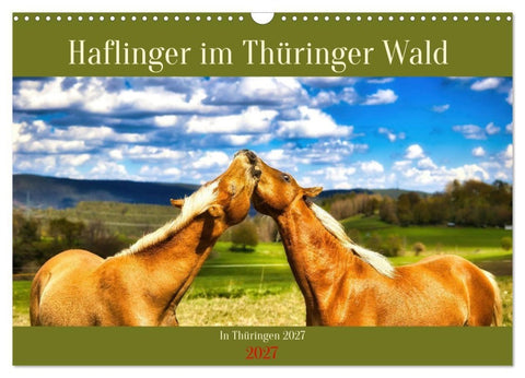 Haflinger im Thüringer Wald (Wandkalender 2027 DIN A3 quer), CALVENDO Monatskalender