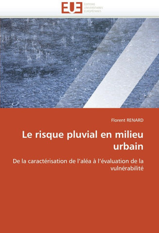 Le risque pluvial en milieu urbain