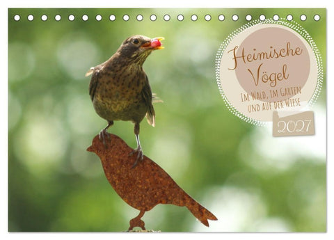 Heimische Vögel - Im Wald, im Garten und auf der Wiese (Tischkalender 2027 DIN A5 quer), CALVENDO Monatskalender