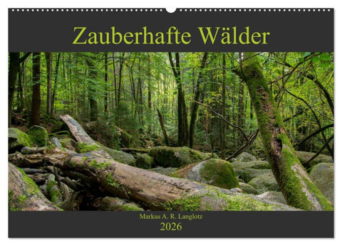 Zauberwelt Wald (Wandkalender 2026 DIN A2 quer), CALVENDO Monatskalender