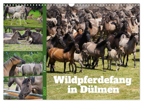 Faszination Wildpferdefang in Dülmen (Wandkalender 2027 DIN A3 quer), CALVENDO Monatskalender