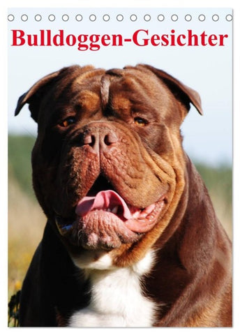 Bulldoggen-Gesichter (Tischkalender 2027 DIN A5 hoch), CALVENDO Monatskalender