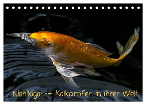 Nishikigoi - Koikarpfen in ihrer Welt (Tischkalender 2027 DIN A5 quer), CALVENDO Monatskalender