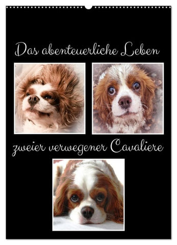 Das abenteuerliche Leben zweier verwegener Cavaliere (Wandkalender 2027 DIN A2 hoch), CALVENDO Monatskalender