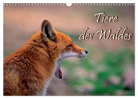 Tiere des Waldes (Wandkalender 2027 DIN A3 quer), CALVENDO Monatskalender