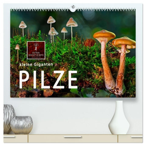 Pilze - kleine Giganten (hochwertiger Premium Wandkalender 2027 DIN A2 quer), Kunstdruck in Hochglanz