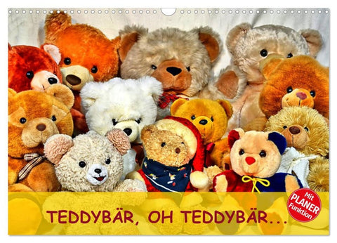 TEDDYBÄR, OH TEDDYBÄR... (Wandkalender 2026 DIN A3 quer), CALVENDO Monatskalender