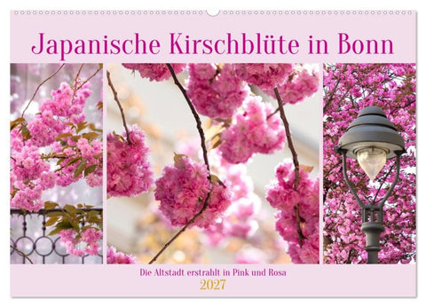 Japanische Kirschblüte in Bonn (Wandkalender 2027 DIN A2 quer), CALVENDO Monatskalender