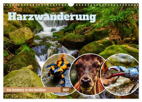 Harzwanderung - Von Ilsenburg zu den Ilsefällen (Wandkalender 2027 DIN A3 quer), CALVENDO Monatskalender