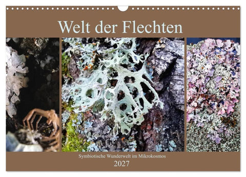 Welt der Flechten (Wandkalender 2027 DIN A3 quer), CALVENDO Monatskalender