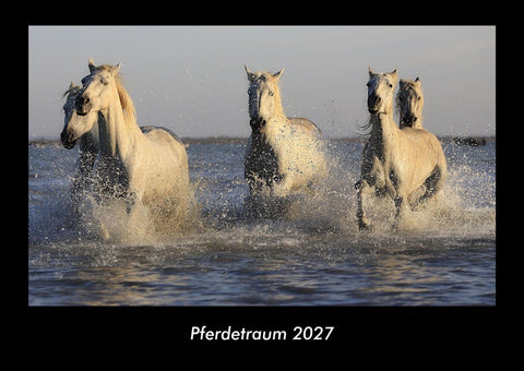 Pferdetraum 2027 Fotokalender DIN A3