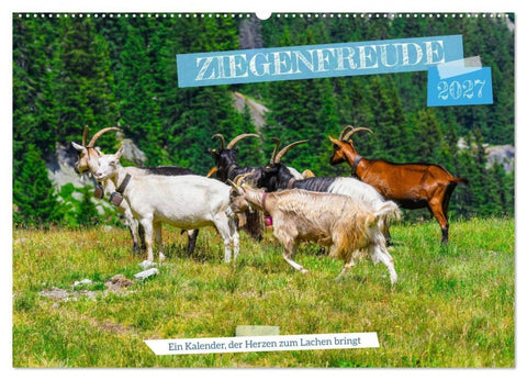 Ziegenfreude (Wandkalender 2027 DIN A2 quer), CALVENDO Monatskalender