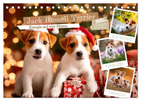 Jack Russell Terrier - Energie auf vier Pfoten (Tischkalender 2027 DIN A5 quer), CALVENDO Monatskalender
