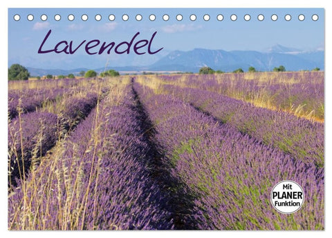 Lavendel (Tischkalender 2026 DIN A5 quer), CALVENDO Monatskalender