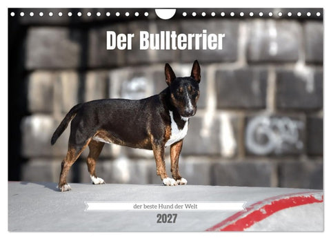 Der Bullterrier der beste Hund der Welt (Wandkalender 2027 DIN A4 quer), CALVENDO Monatskalender