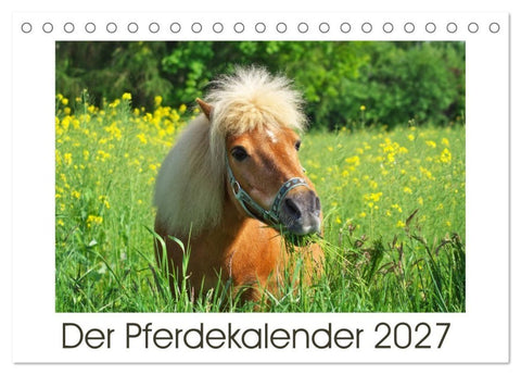 Der Pferdekalender (Tischkalender 2027 DIN A5 quer), CALVENDO Monatskalender