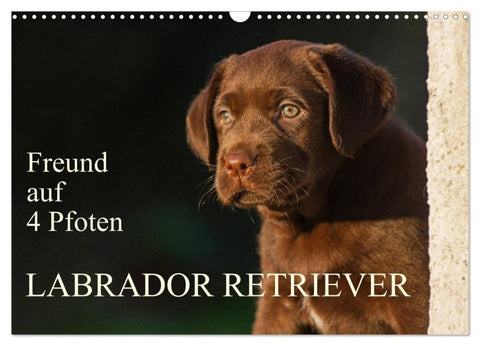 Freund auf 4 Pfoten - Labrador Retriever (Wandkalender 2027 DIN A3 quer), CALVENDO Monatskalender
