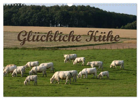 Glückliche Kühe (Wandkalender 2027 DIN A3 quer), CALVENDO Monatskalender