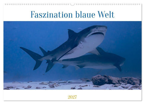 Faszination blaue Welt (Wandkalender 2027 DIN A2 quer), CALVENDO Monatskalender