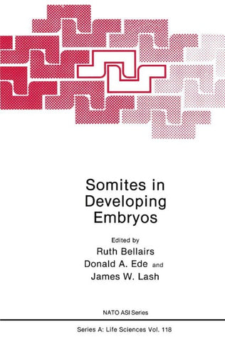 Somites in Developing Embryos