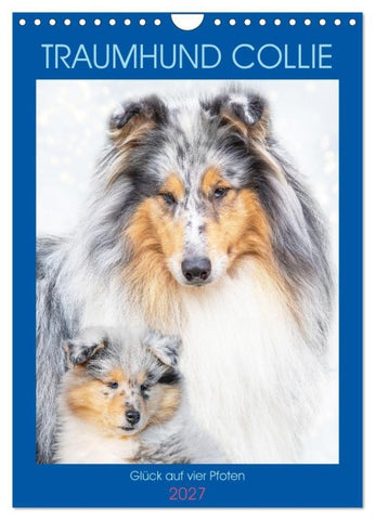 Traumhund Collie - Glück auf vier Pfoten (Wandkalender 2027 DIN A4 hoch), CALVENDO Monatskalender