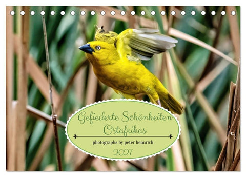 Gefiederte Schönheiten Ostafrikas (Tischkalender 2027 DIN A5 quer), CALVENDO Monatskalender