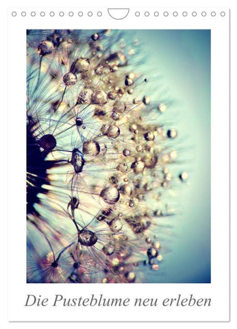 Die Pusteblume neu erleben (Wandkalender 2027 DIN A4 hoch), CALVENDO Monatskalender