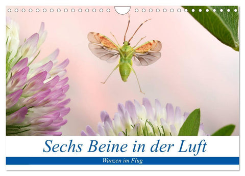 Sechs Beine in der Luft - Wanzen im Flug (Wandkalender 2027 DIN A4 quer), CALVENDO Monatskalender