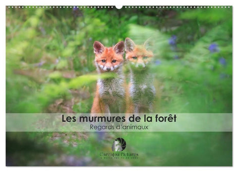 Les murmures de la forêt - Regards d'animaux (Calendrier mural 2027 DIN A2 vertical), CALVENDO calendrier mensuel