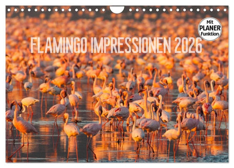 Flamingo Impressionen 2026 (Wandkalender 2026 DIN A4 quer), CALVENDO Monatskalender