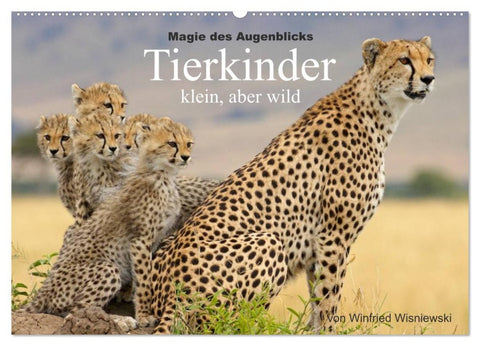 Magie des Augenblicks - Tierkinder - klein, aber wild (Wandkalender 2026 DIN A2 quer), CALVENDO Monatskalender