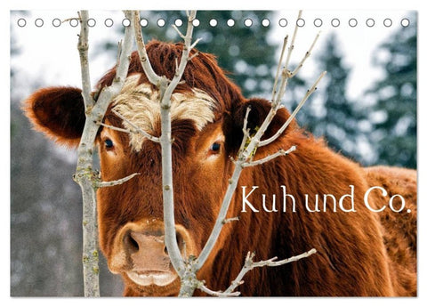 Kuh und Co. (Tischkalender 2027 DIN A5 quer), CALVENDO Monatskalender