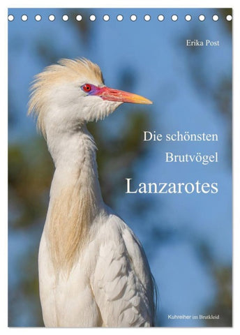 Die schönsten Brutvögel Lanzarotes (Tischkalender 2027 DIN A5 hoch), CALVENDO Monatskalender