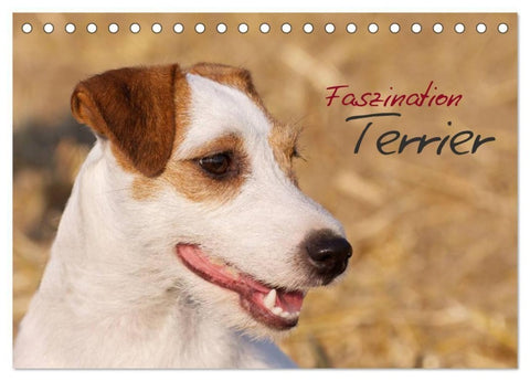 Faszination Terrier (Tischkalender 2027 DIN A5 quer), CALVENDO Monatskalender