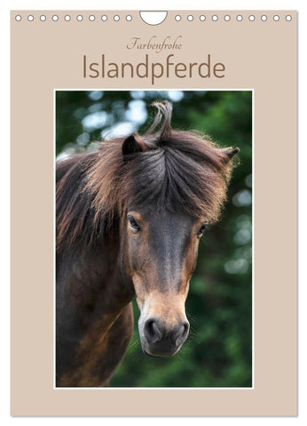 Farbenfrohe Islandpferde (Wandkalender 2027 DIN A4 hoch), CALVENDO Monatskalender