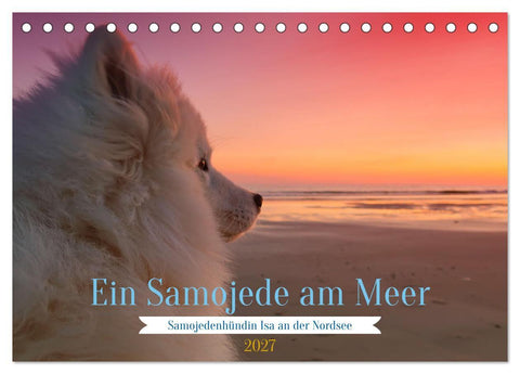 Ein Samojede am Meer (Tischkalender 2027 DIN A5 quer), CALVENDO Monatskalender